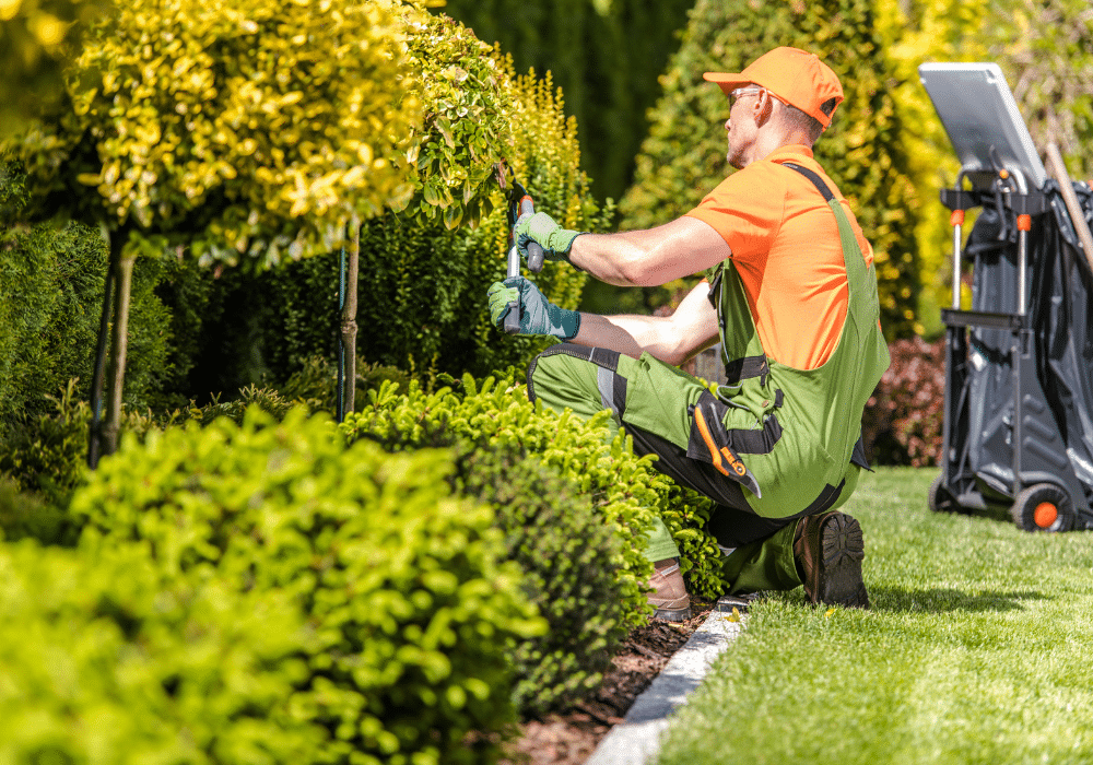 Green Landscaping Practices for Sustainable Property Management